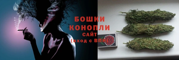 кокс Белокуриха