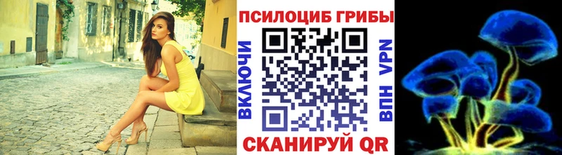 Псилоцибиновые грибы мицелий  Красный Холм 